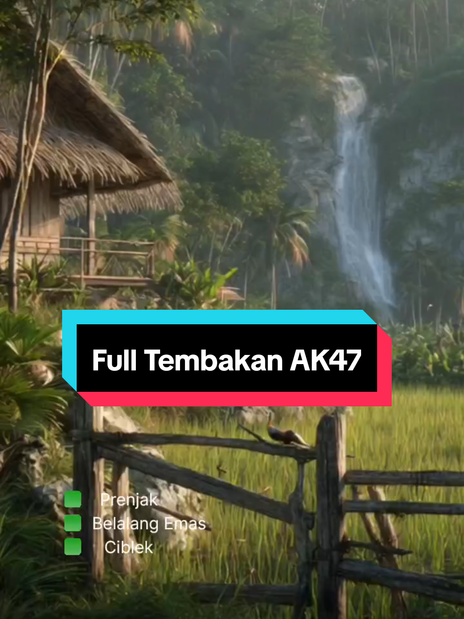 masteran burung tembakan ak47, prenjak, belalang emas, ciblek. #masteranburung #masteranburungjuara #masteranburungfulltembakan #burungkicau #bird 