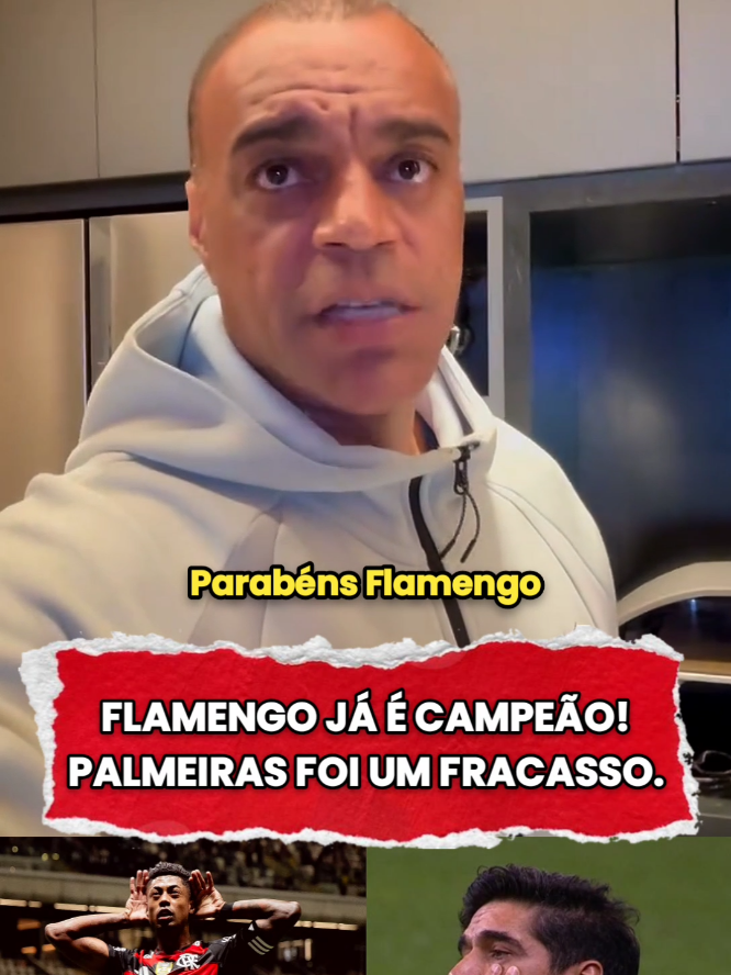 Denílson sobre Flamengo e Palmeiras. 🔥 #palmeiras #flamengo #denilsonshow #futebolbrasileiro #mengao 