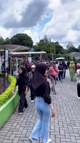 cewe seceria ini harus berkelahi dngn orang problematik 😬🤣 mnding healing aja biar ga ikutan problematik 🤪