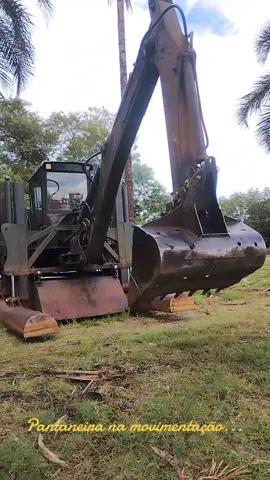 Pantaneira na movimentação...