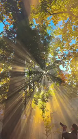 #اصبحنا_واصبح_الملك_لله__صباح_الخير 