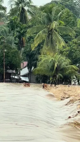 #CapCut #musibah rayeuk