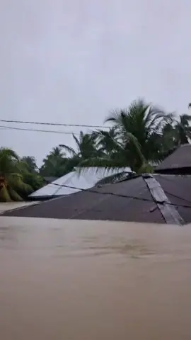 Semoga cepat surut airnya 🤲🏻  Kec langkahan kab aceh utara #banjir #bencana #hujanderas #banjir2025 #acehutara 