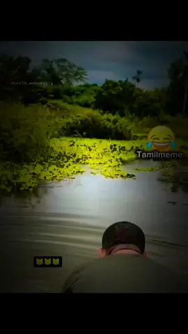 #funnyanimals #rending_video_viral_tiktok2025 #rendingvideo🔥😍💞 #foryoupage 