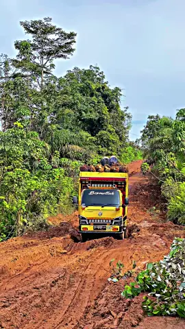 #trucksawitkalimantan #tiktokcreatorsummitid #tiktokcreatorsummitid 