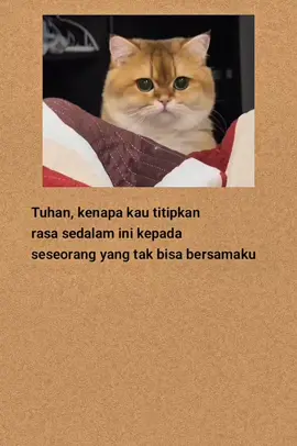#katakatasedih #katakatabijak #fyp #viral #laguindia 