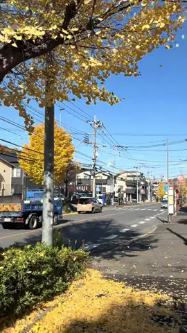 #kenshuseijapan🇮🇩🇯🇵🎌 #magangjepang 