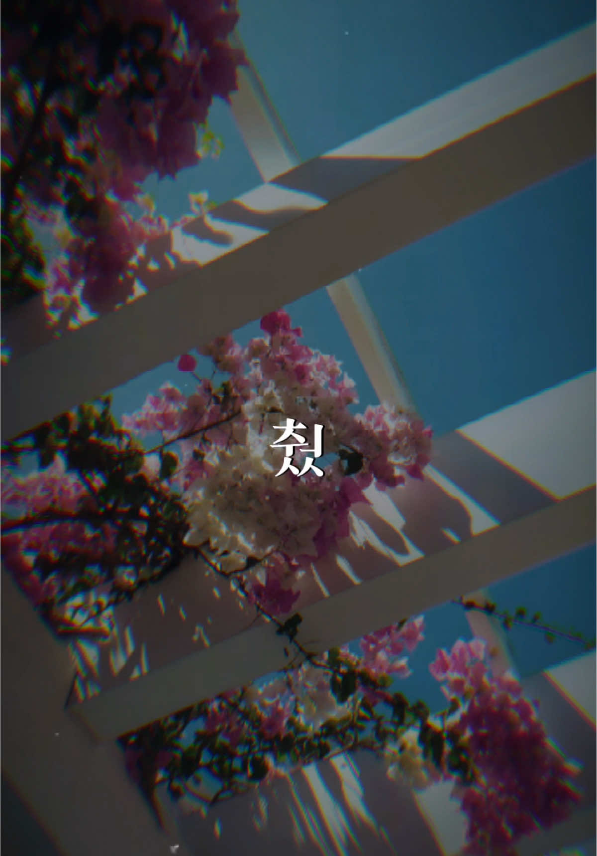 Spring Algorith Beat Nhạc Hàn Cuốn… #CapCut #maucapcut #xuhuong #thinhhanh #bietchua 