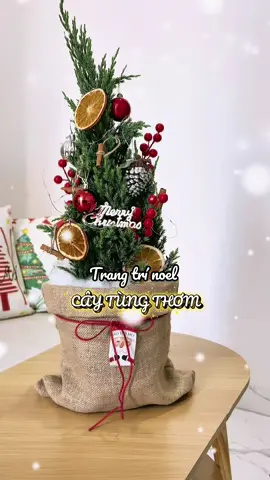 Christmas is coming to my home 🎄#xmas #caytungthom #decornoel #myhome #xh 