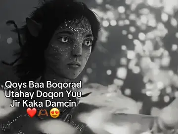 #capdiqani❤️ #foryou #100kviews❤️