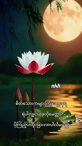 #မေတ္တာပို့ဆုတောင်း #စိတ်သေားကများနေရင်ရွတ်ဆိုမေတ္တာပိုပါထူးခြားလာပါလိမ်မည်#ဗဟုသုတ #ဘုရားတရားမမေ့ပါနဲ့ #titoker 