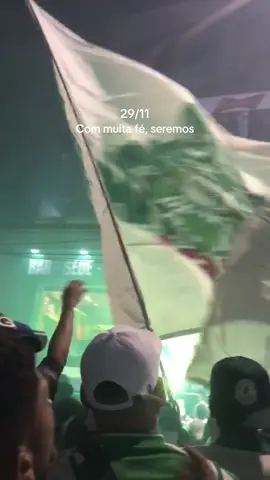 Por favor palmeiras!#palmeiras#flamengocheirinho#copalibertadores2025#manchaverde 
