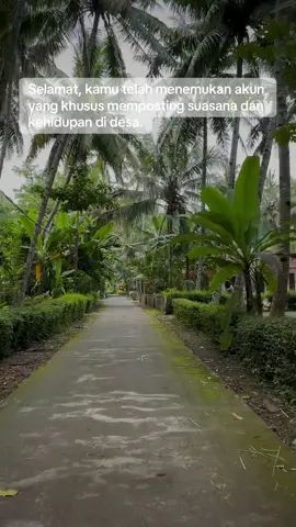 Desa Sidorejo, Kec. Lendah, Kabupaten Kulon progo. #sabadesa #pedesaan #kulonprogo #fyppppppppppppppppppppppp 