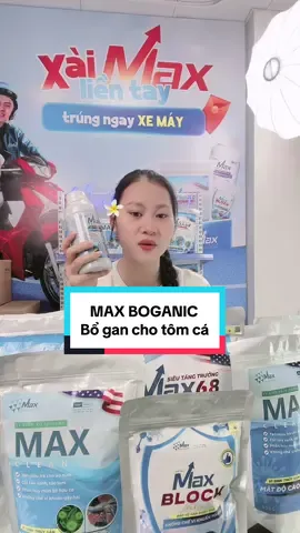 Bổ gan cho tôm, cá đây các bác ơi #maxboganic #tomcuaca #maxbiotech #livehighlights #tiktoklive 