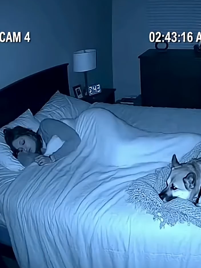 Dog Protects Owner From GHOST in Bedroom#foryoupage #ghost #scary
