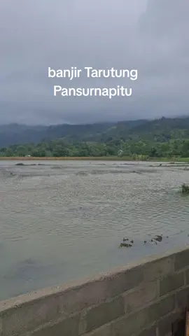 banjir Trutung pansurnapitu lekas membaik kotaku #tarutung #tarutungtapanuli #fypシ゚ #tarutung_tapanuli_utara #prayfor 