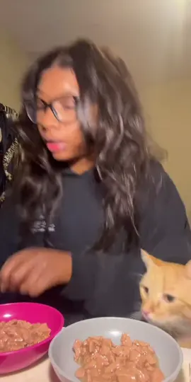 I don’t think yall understand how funny this is to me 😭😭😭😭 I was so #overit #bad #catsoftiktok #blowthisup  ##CapCut