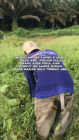 Mintak tolong lah dulu abg dek #fyp #ngarit #zkr_farm 