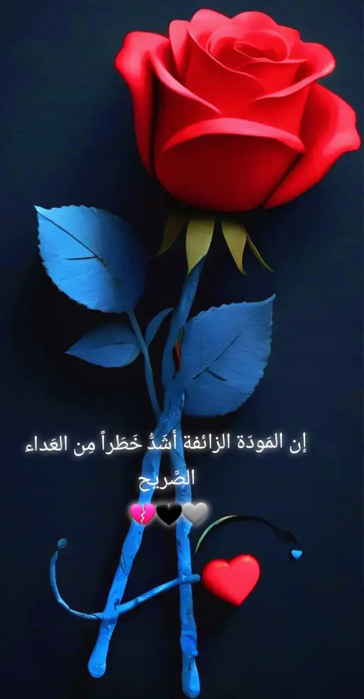 #قلب #احبه #الله #لاخوف #عليه 