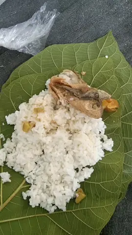 Sopire jalok Sego sing derep#fypviral 