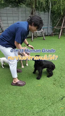 ❓ไขข้อสงสัย อาหารหมา 🐾 Human Grade คืออะไร❓แล้วทำไมให้หมากินอาหารคนไม่ได้❗️ #Perfecta #PerfectChoice #ดูแลลูกรักด้วยส่วนผสมที่Perfect #เคล็ดลับสัตว์เลี้ยง #สัตว์เลี้ยงtiktok
