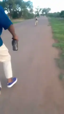 yah ne mzansi🤣🤣