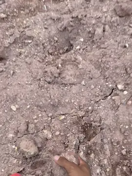 #មើលទេសភាពព្រៃភ្នុំស្អាតណាស់🏞🏕🥰🥰 #magelang24jam #ផ្នែក1 