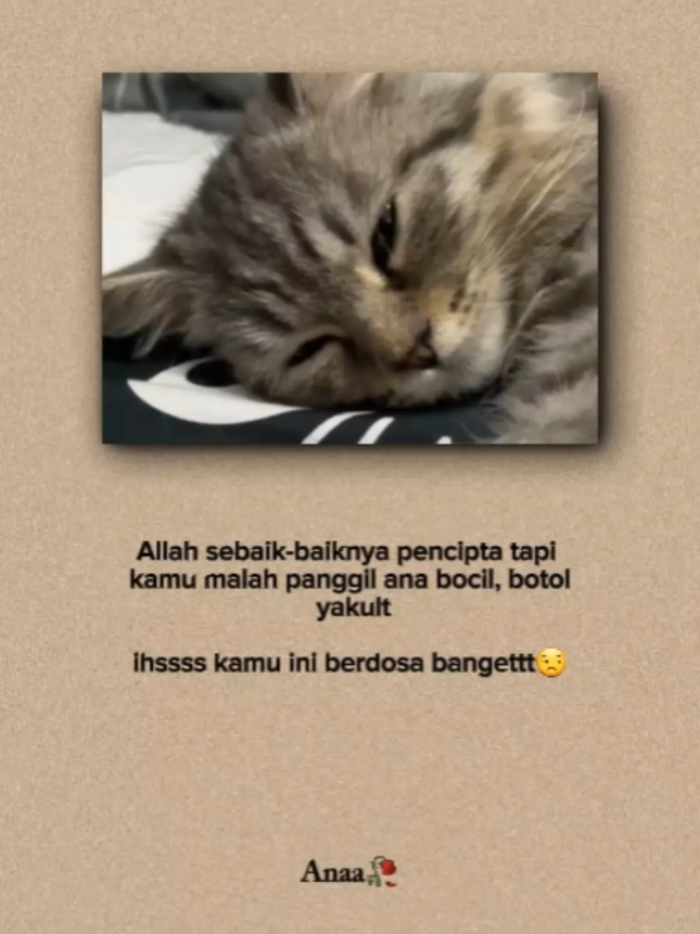 #quoteslucu #kucinglucu #indiasong #foryou #xbcyza 