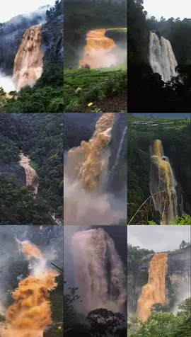 WATERFALLS with RAINFALLS 🫧🌧️🇱🇰 (මධ්‍ය දේශය 💔) (𝗖𝗲𝗻𝘁𝗿𝗮𝗹 𝗛𝗶𝗴𝗵𝗹𝗮𝗻𝗱𝘀 𝗼𝗳 𝗦𝗿𝗶 𝗟𝗮𝗻𝗸𝗮) ⛰️🌳 පාංශු ඛාදනය/නාය යෑම් සහ ඒවාට ප්‍රධාන හේතු කීපයක්; (1) තේ වගාව 🌱 , (2) පයිනස්/ටර්පන්ටයින් වැනි ශාක වගාව 🌲, (3) කදුකර ඉදිකිරීම් 🏠 🏗️ 🚧 🚃 (මේවා ඇරඹුනේ සුදු ජාතිකයන්ගෙන්) ඊට අමතරව (4) අපේ මිනිසුන්ගෙ කුණු දැමීම (ප්ලාස්ටික්, පොලිතීන් නොදිරන ද්‍රව්‍ය) ඒ හික්මීම ලැබුනෙ සුදු ජාතිකයෝ ලබාදීපු අධ්‍යාපනයෙන් 📚🎓 හැමදාම වගේ වැහි කාලෙට මම මේ ටික මතක් කරනවා 🌧️ ⚠️❌ මේ හේදිලා යන්නේ අපේ රටේ සුන්දරත්වය 👁️ රට වටේට මහ මුහුදෙන් ටික ටික ඛාදනය වෙනවාට අමතරව 🌊 🏝️  𝗗𝗶𝘀𝘁𝗿𝗶𝗰𝘁𝘀 ↓ 𝐊𝐚𝐧𝐝𝐲 𝐃𝐢𝐬𝐭𝐫𝐢𝐜𝐭: Contains the highland capital city of Kandy and includes areas like the Knuckles mountain range. 𝐌𝐚𝐭𝐚𝐥𝐞 𝐃𝐢𝐬𝐭𝐫𝐢𝐜𝐭: Lies to the north of Kandy and is also home to parts of the Knuckles mountain range. 𝐍𝐮𝐰𝐚𝐫𝐚 𝐄𝐥𝐢𝐲𝐚 𝐃𝐢𝐬𝐭𝐫𝐢𝐜𝐭: Located in the southern part of the Central Province, this district is known for its high elevation, cool climate, and is home to the Horton Plains National Park. 𝐁𝐚𝐝𝐮𝐥𝐥𝐚 𝐃𝐢𝐬𝐭𝐫𝐢𝐜𝐭: Part of the Uva Province, it is geographically considered a part of the central highlands and is home to the town of Badulla.  මධ්‍ය දේශයේ විනාශය/ඇරඹුම> 