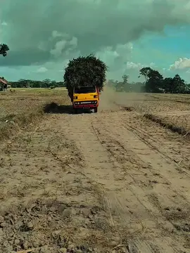 stending buoss#sopirmeteran😉😎🚛 #fyppppppppppppppppppppppp 