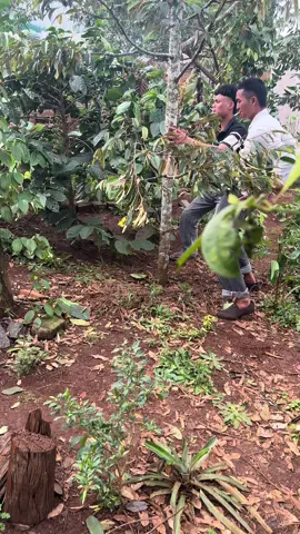 Đó đó tác hại của rượu bia đó nói rồi uống ít thôi 🤣🤣@bét lỏ 🇻🇳 