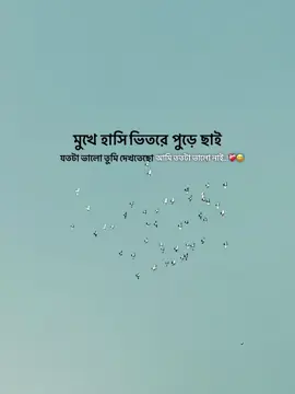 মুখে হাসি, ভিতরে পুড়ে ছাই যতটা ভালো তুমি দেখতেছো আমি ততটা ভালো নাই..!❤️‍🩹😅#foryou #foryoupage #trending @TikTok @TikTok Bangladesh 