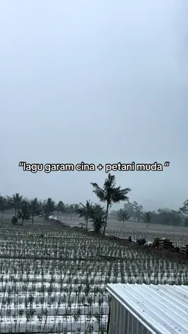 asyikk sekali 🔥 #petanimuda #petanimilenial #petaniindonesia🇮🇩🇮🇩🇮🇩🌿🌿 #petanicabai #petanimudamilenial 