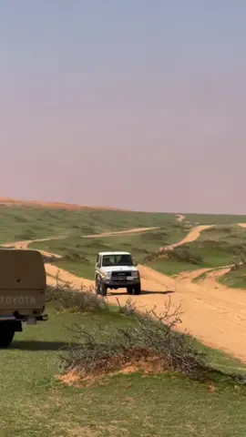 #‏ربيع☘️🌱🍀