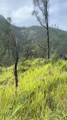 Ada yang sudah pernah kesini?  📍Loc : Kawinajang via Bendosari, Pujon . #kawinajang #kawi #gunungkawi #pendakigunung #fyp 