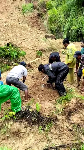 Anak kelas 7 tertimbun di muara mais 😢