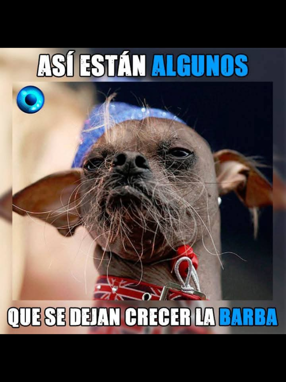 UNO QUE CULPA DE SER BARBON🤪🤪🤪🤷#tiktok #martesdetiktok #MemeCut #Meme #CapCut 