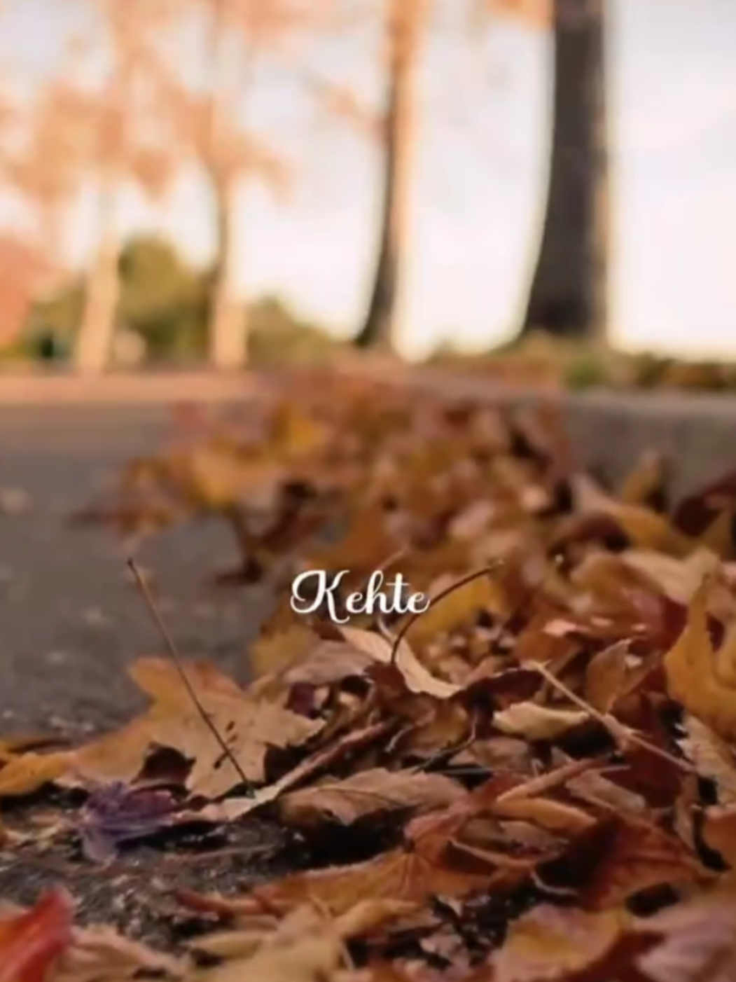 Kahte hain kuda Ne is jahan Main Sabhi ke liye..✨👀💗🎧#useheadphones #newtrandingvideo #akashtypist #fyp #foryoupageofficiall 