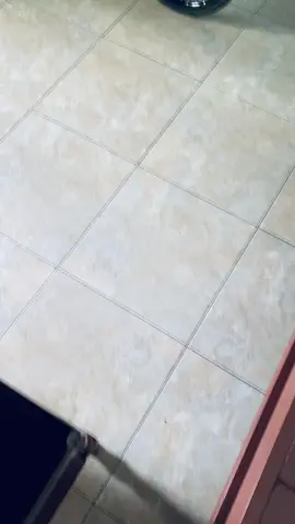 Cuaca sangat cerah😇#tigergenk #fyp 