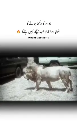 𝙝𝙖𝙖𝙣 𝙜 ✅ #attitude #fypシ゚viral🖤tiktok #foryoupage❤️❤️ #unfreezemyaccount #videoviral 