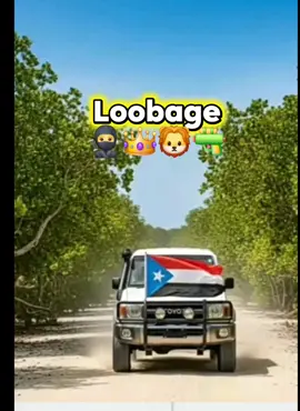 bir bir abwaan🔥🦁🔫#🔥🥷✊️💪 #Loobagenimo @♧CaaQilyare♣️ 