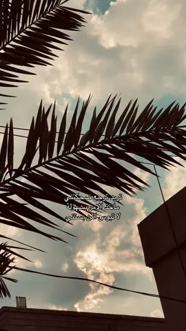 #fyp #شعر #Sing_Oldies 