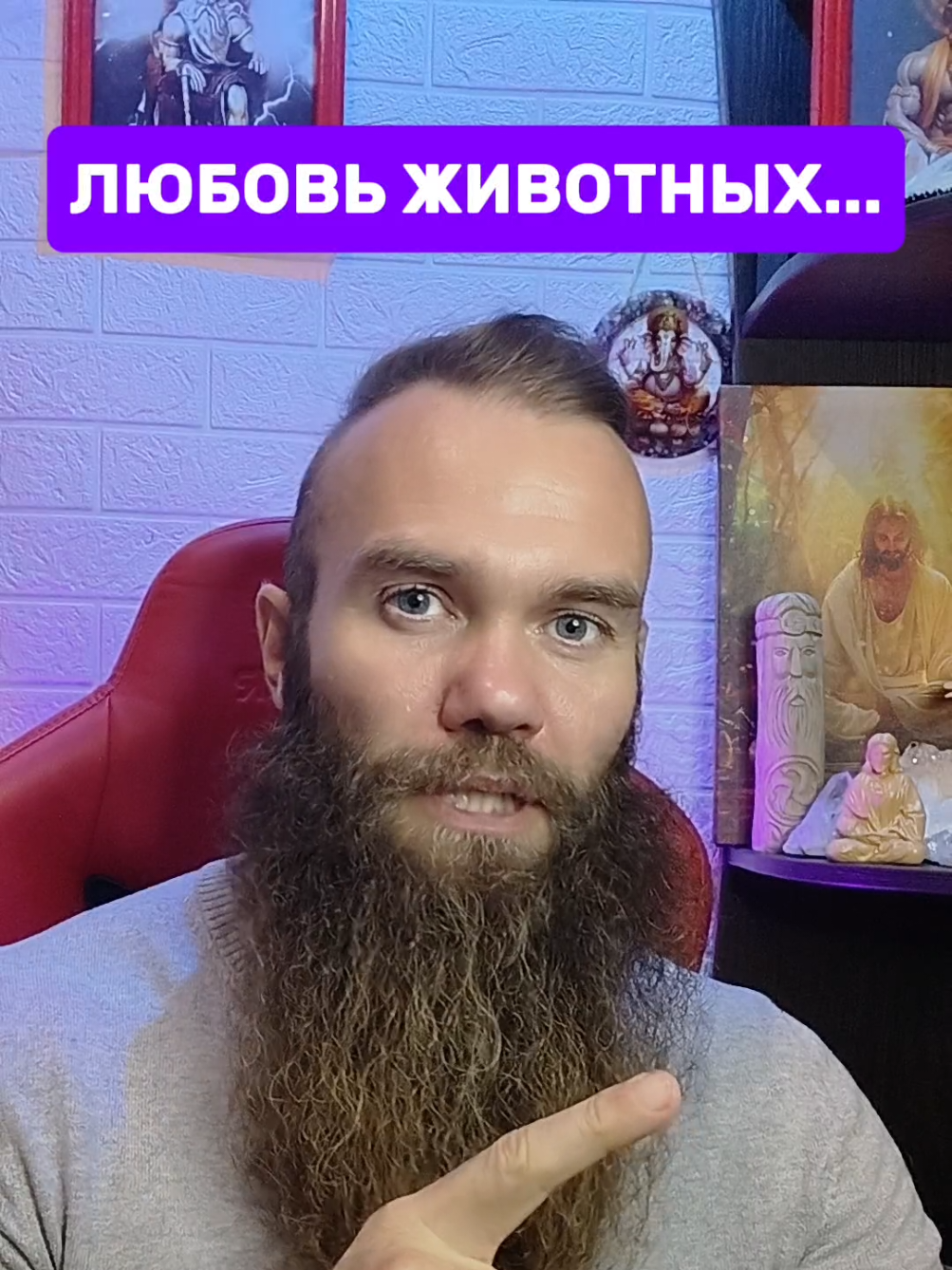 животные прекрасное продолжение бога