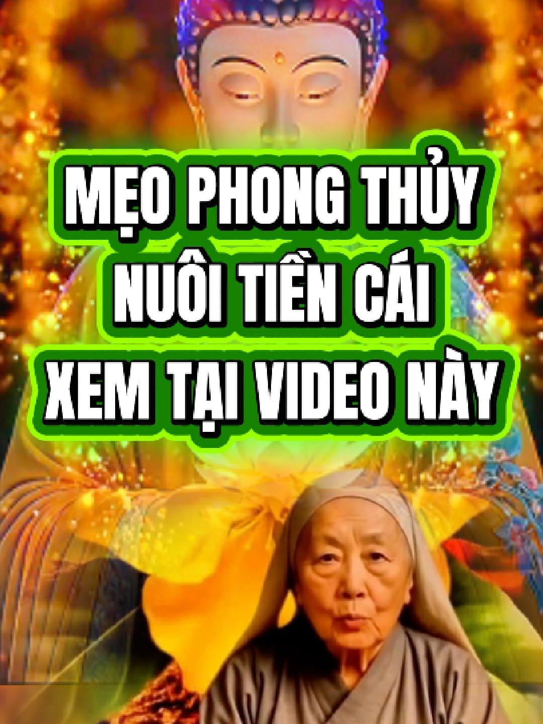 Mẹo nuôi tiền cái phong thủy cổ Đài Loan, Giúp chiêu tài, trấn của #meonuoitiencai #mayman #phongthuy #tailoc