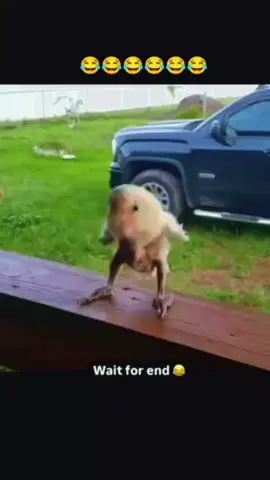 Once Again water is cold is cold is cold 🥶🥶🥶🥶😂😂😂🤣🤣🤣 #creatorsearchinsights #trendingvideo #viralvideo #unfreezemyaccountplz🙏🙏 #forpageyou 