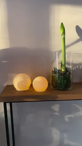 Winterdecorarie, decoreer jij in huis met de seizoenen mee? #roef3dprint #3dprinter #fyp #winter 