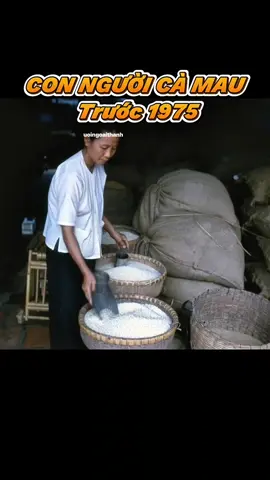 Một thời đất Mũi yên bình… nơi tình người còn mộc mạc lắm. Con người Cà Mau sống chậm rãi, chân chất và giàu nghĩa tình. Từ những xóm nhà ven sông Gành Hào, bến tàu Năm Căn, đến những buổi chợ nổi tấp nập nhưng vẫn đượm sự hiền hòa. Cà Mau ngày ấy mang một vẻ đẹp bình dị: nụ cười dễ mến, cuộc sống mộc mạc, chan hòa giữa con người và sông nước. Nhắc lại mà nghe lòng như trở về miền đất tận cùng Tổ Quốc của mấy mươi năm trước. Xem video đầy đủ trên kênh youtube. link trên bio nhé! #camauxua #camautruoc1975 #connguoiCamau #datmuixua #miennamxua 