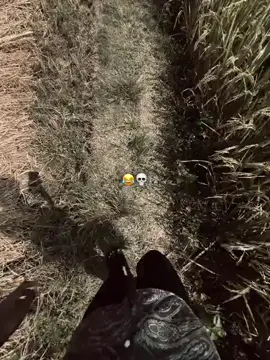 যা লিখেছি এক্সামের পাতায়, স্যার খুঁজে পাবে না কোন বইয়ের পাতায় 🤣🤣#hahaha😂😂😂 