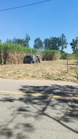 รถติดล่ม #รถติดล่ม #อ้อย #ฤดูกาลตัดอ้อย #ข้อคิดดีดี #รีวิวชีวิตเกษตรกร 