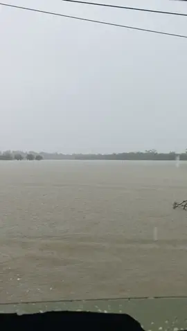 jl pangkalan Brandan 🥹 #banjir2025 